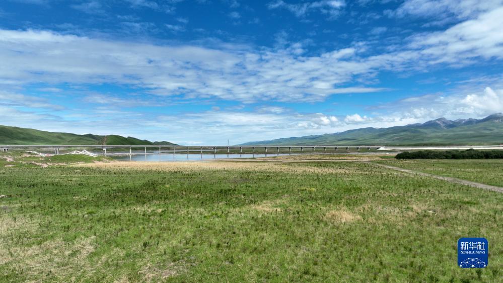 现金水浒传注册送分